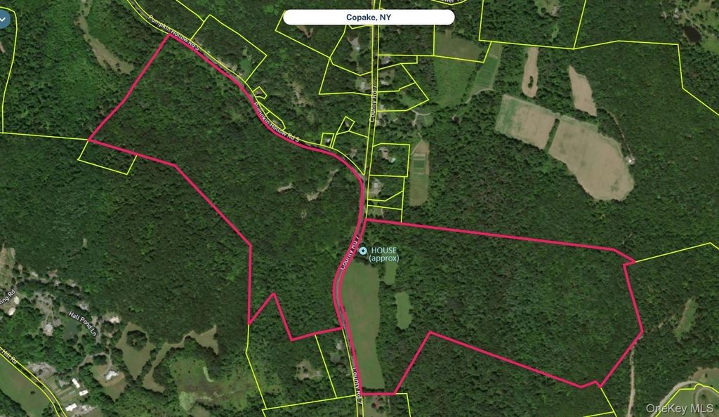 Photo of 2934 County Route 7, Copake, NY 12516 (MLS # 923323)