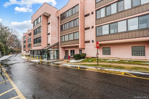 800 Willis Avenue 115 Albertson NY 11507