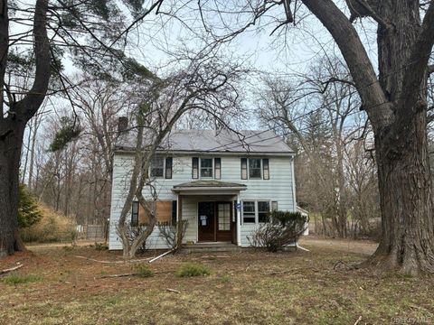 Homes For Sale - 9 Morton Place<br/> Amenia, NY 12501