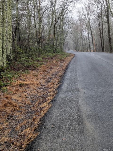 97 Otens Road Wawarsing NY 12489