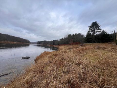 Hankins Rd Narrowsburg NY 12764