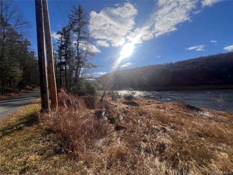 Hankins Rd Narrowsburg NY 12764