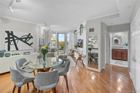 300 Mamaroneck Avenue 628 White Plains NY 10605