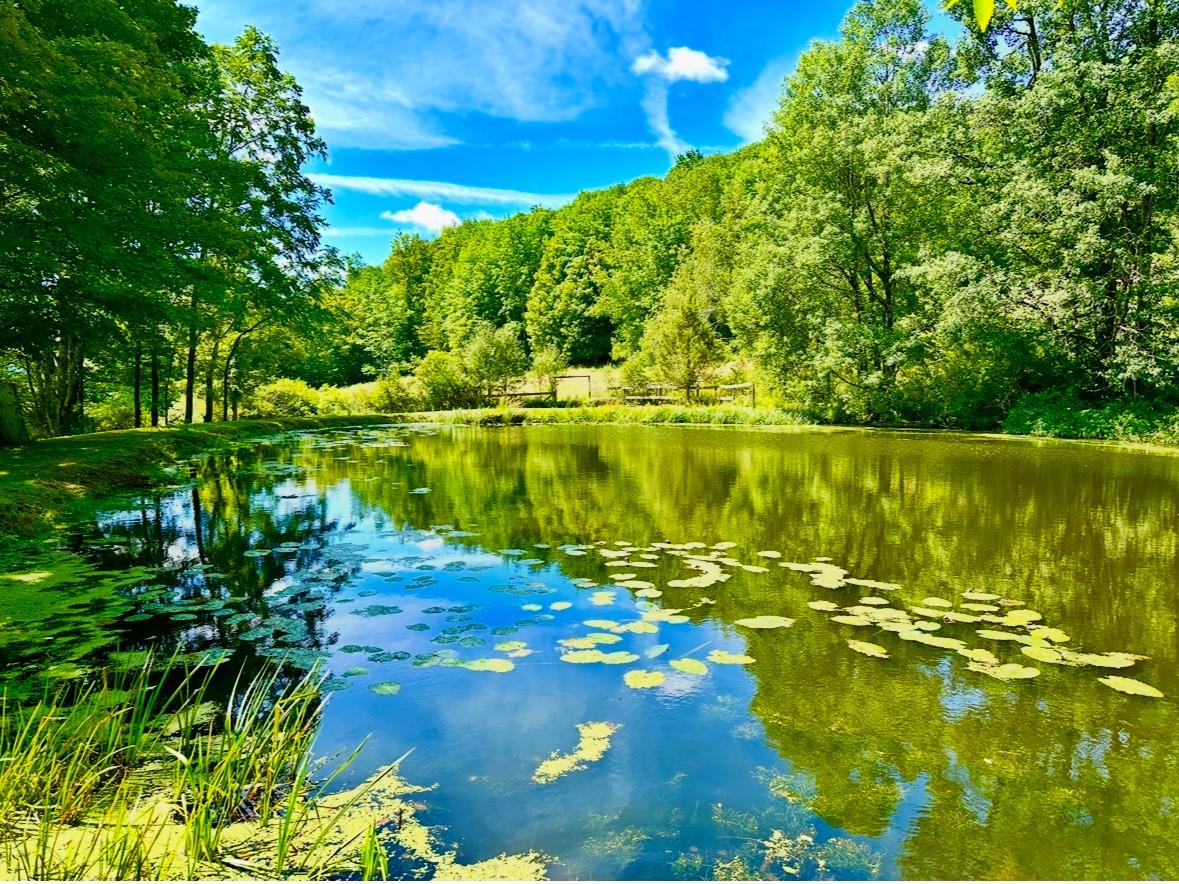 130 Dyker Road, North Branch, New York image 1
