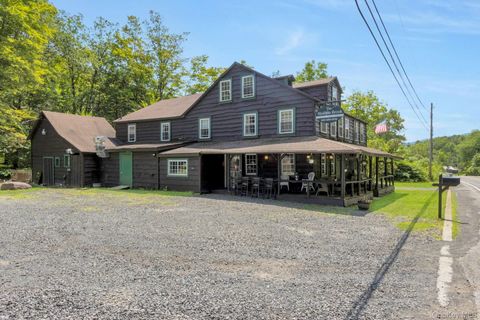 540 Rt-42 Shandaken NY 12480