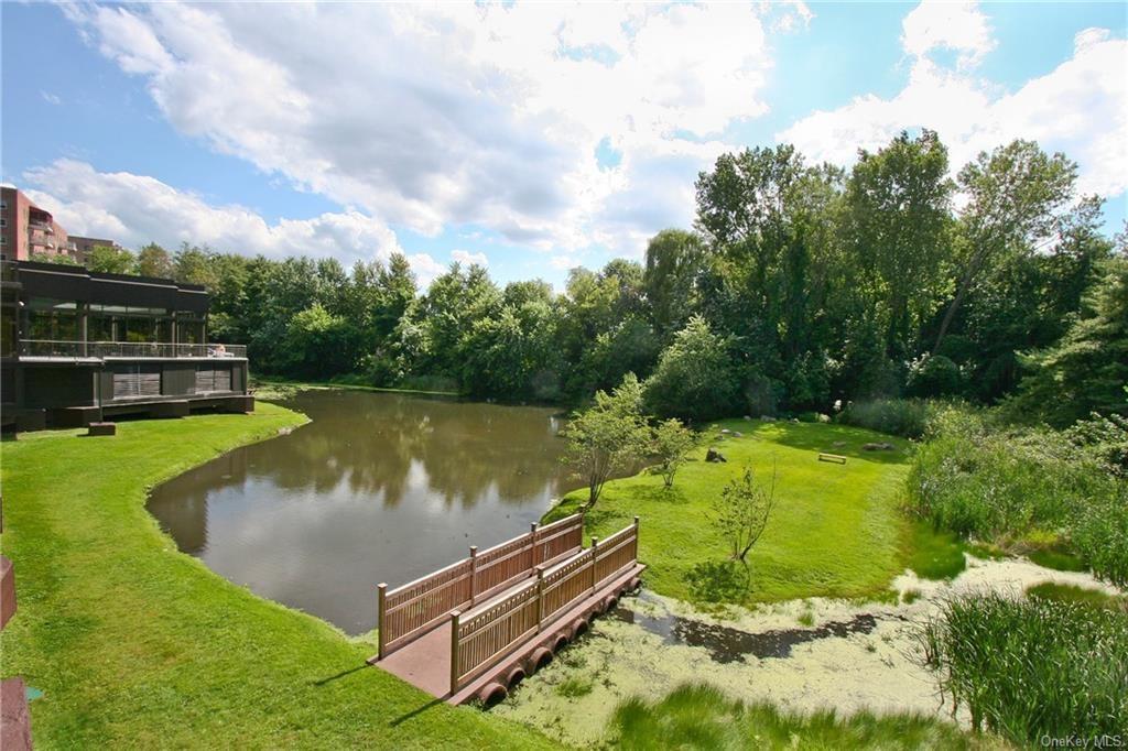 50 E Hartsdale Avenue #3S, Hartsdale, New York image 18