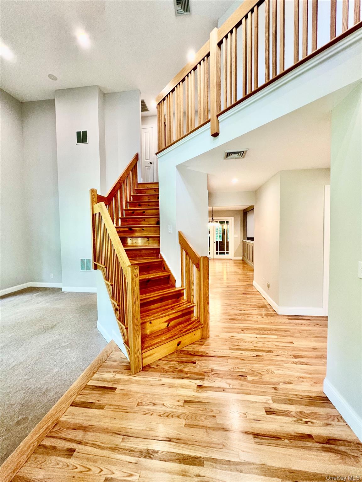 50 Cocoa Lane