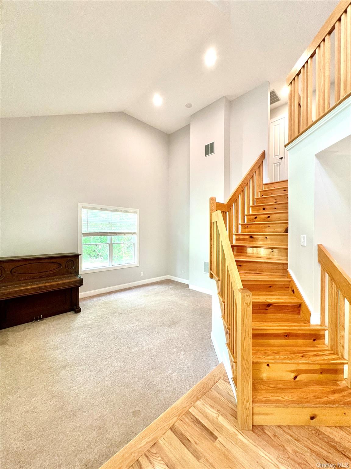 50 Cocoa Lane