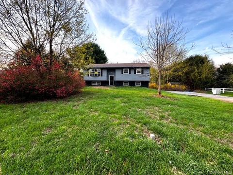 Photo of 7 Jonathan Drive, Staatsburg, NY 12580 (MLS # 988726)