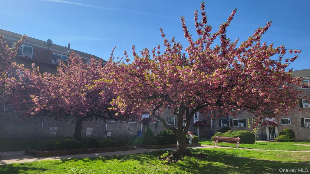 Photo of 111-05 66 Avenue #1B, Forest Hills, NY 11375 (MLS # 1055720)