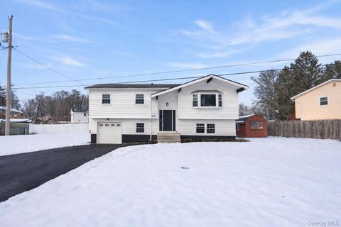 148 Chandler Lane Montgomery NY 12549