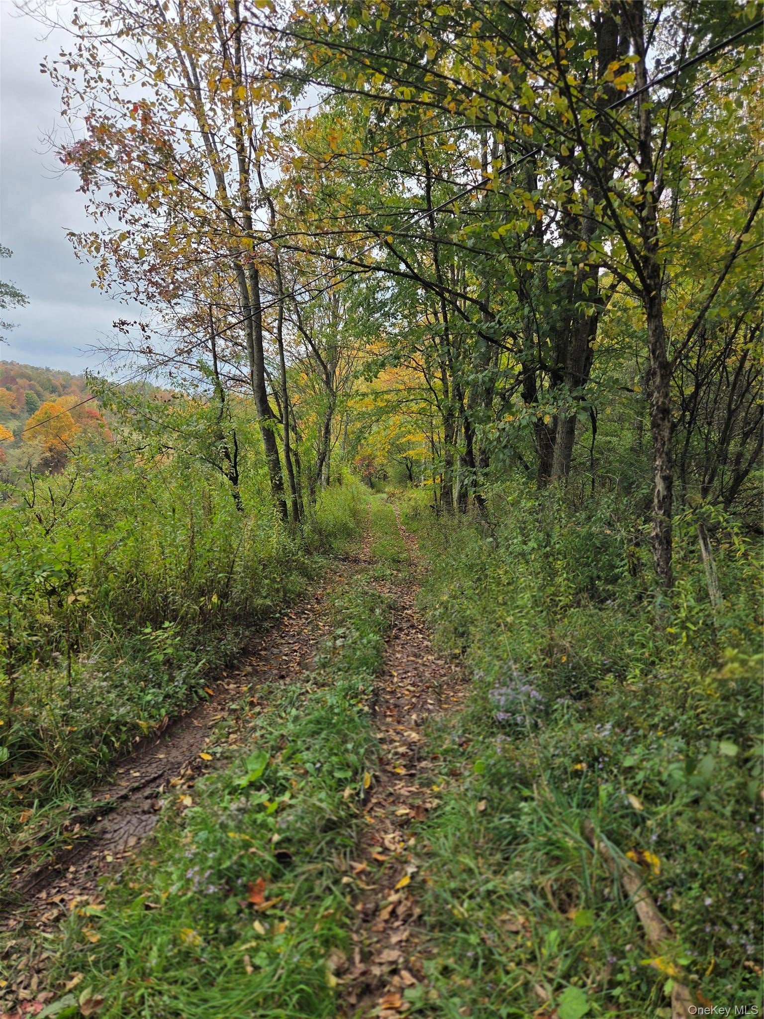 Lot #21 Herbert Road
