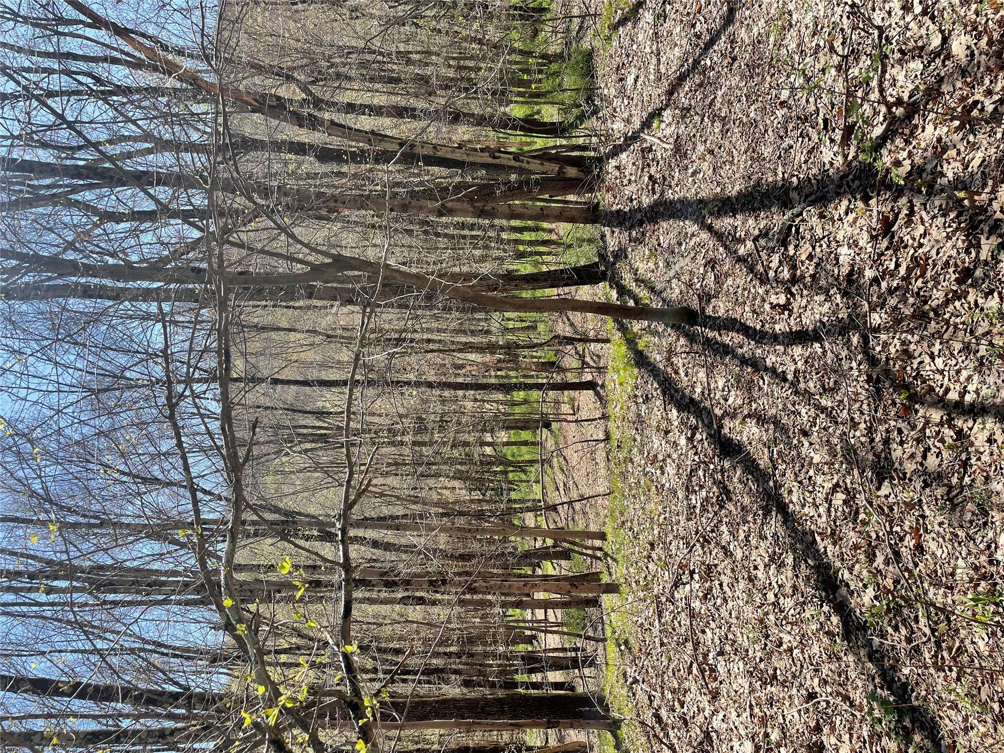 Whippoorwill Rd., Hillsdale, New York image 1