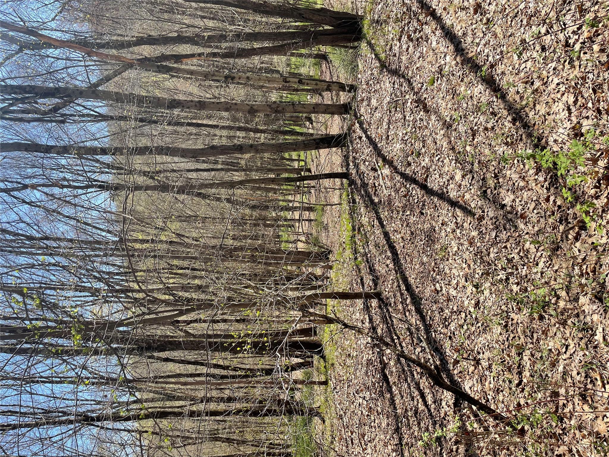 Whippoorwill Rd., Hillsdale, New York image 5