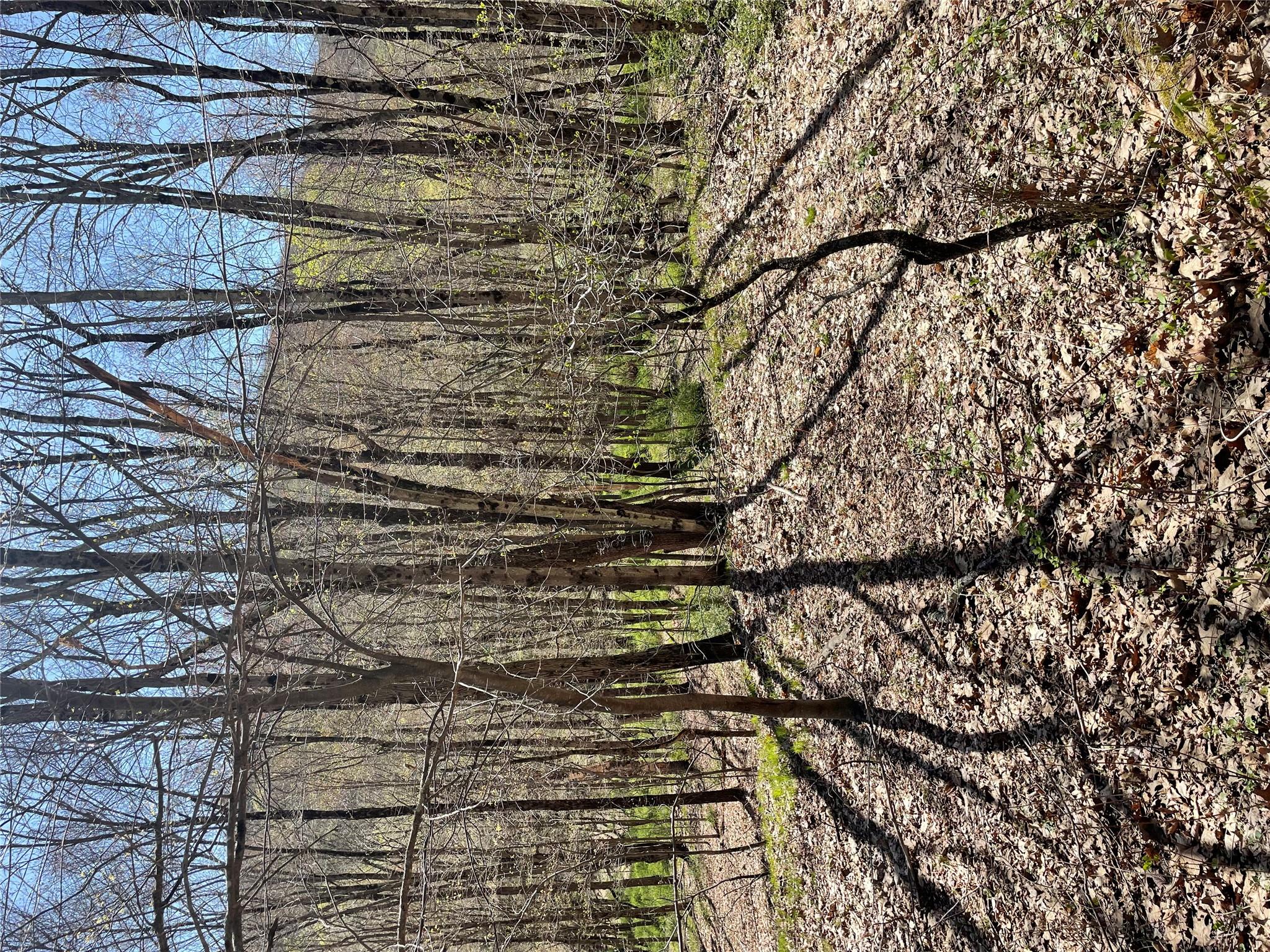 Whippoorwill Rd., Hillsdale, New York image 3