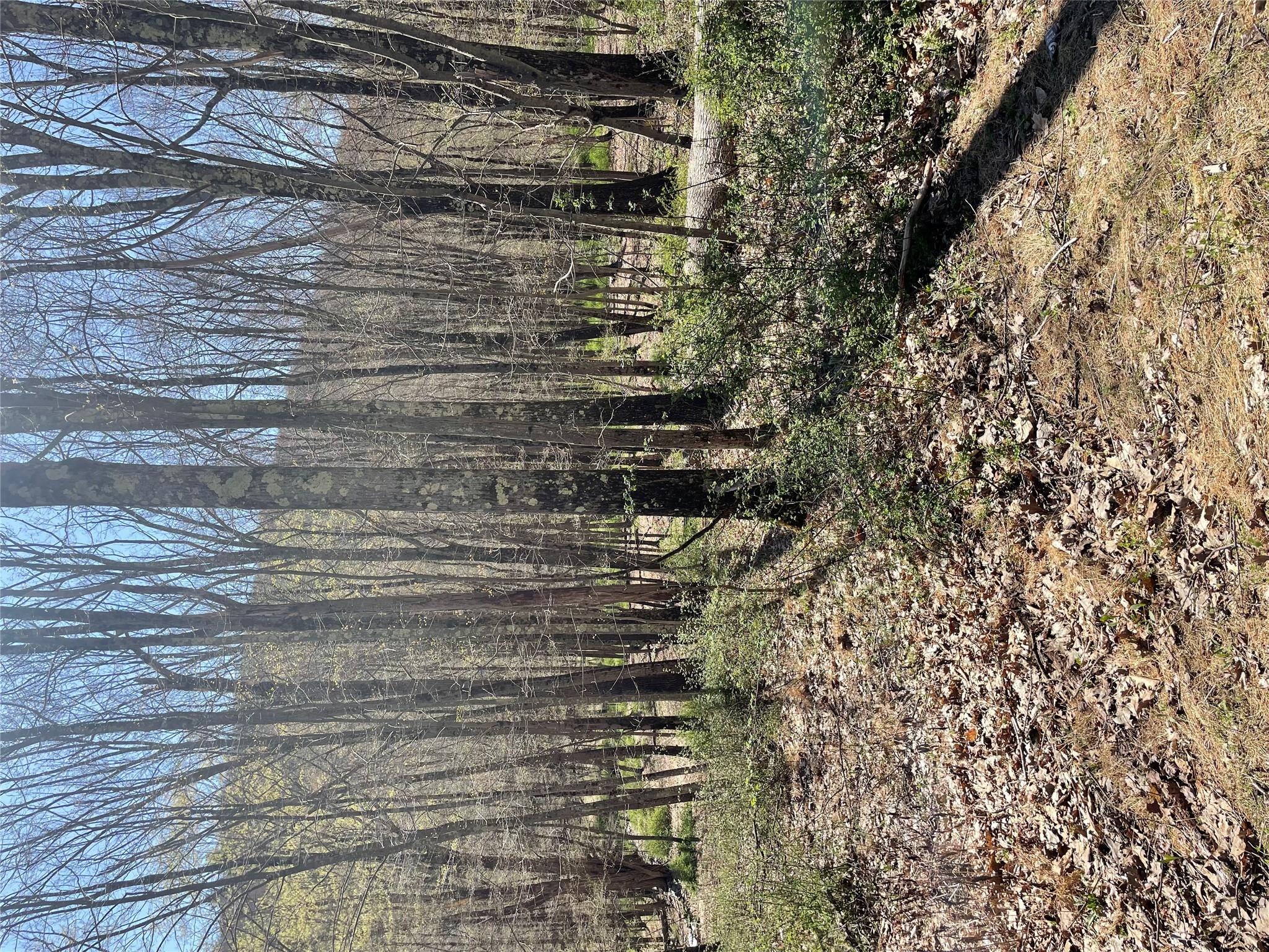 Whippoorwill Rd., Hillsdale, New York image 8