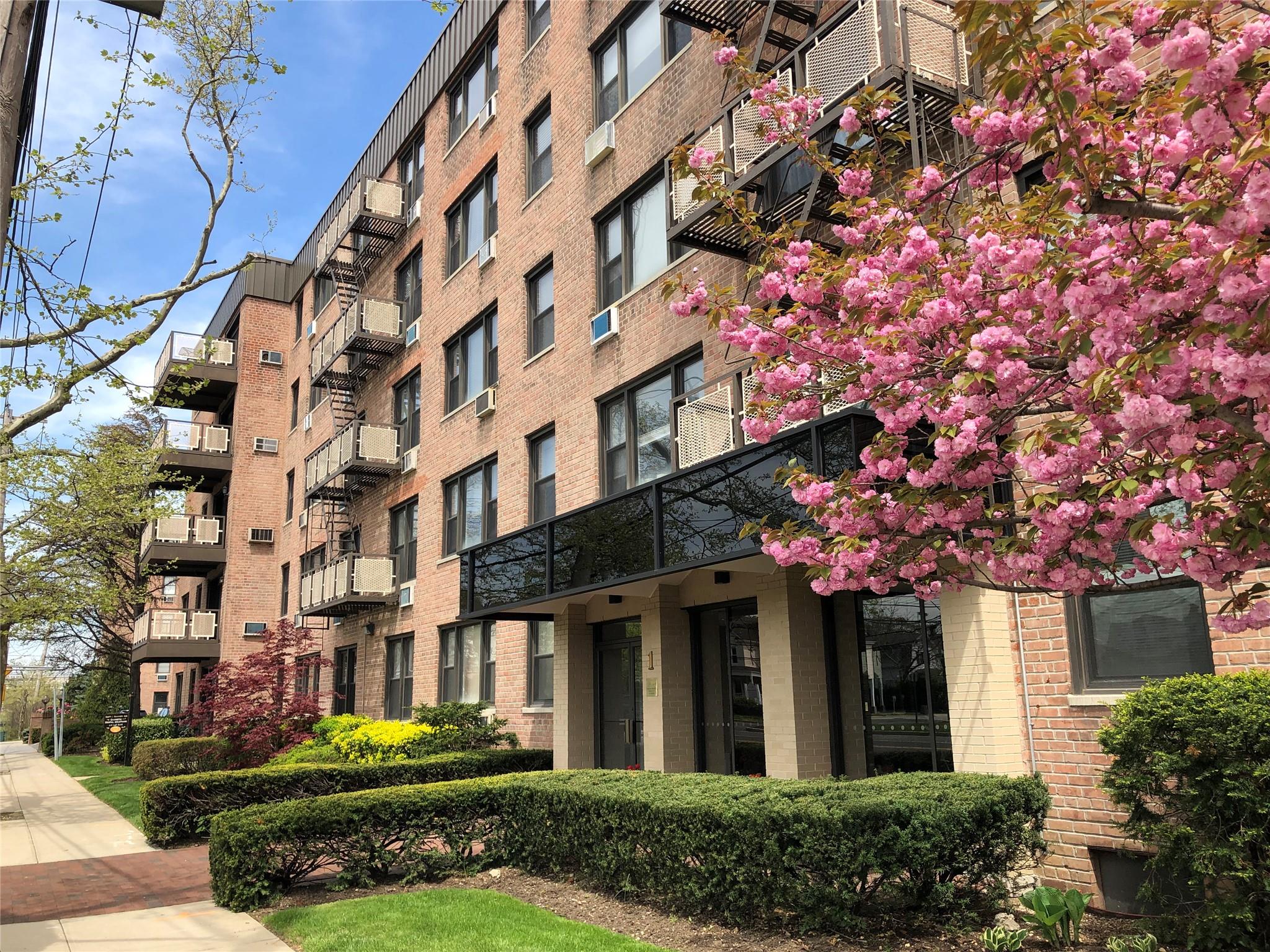 1 Birchwood Court #2F, Mineola, New York image 1