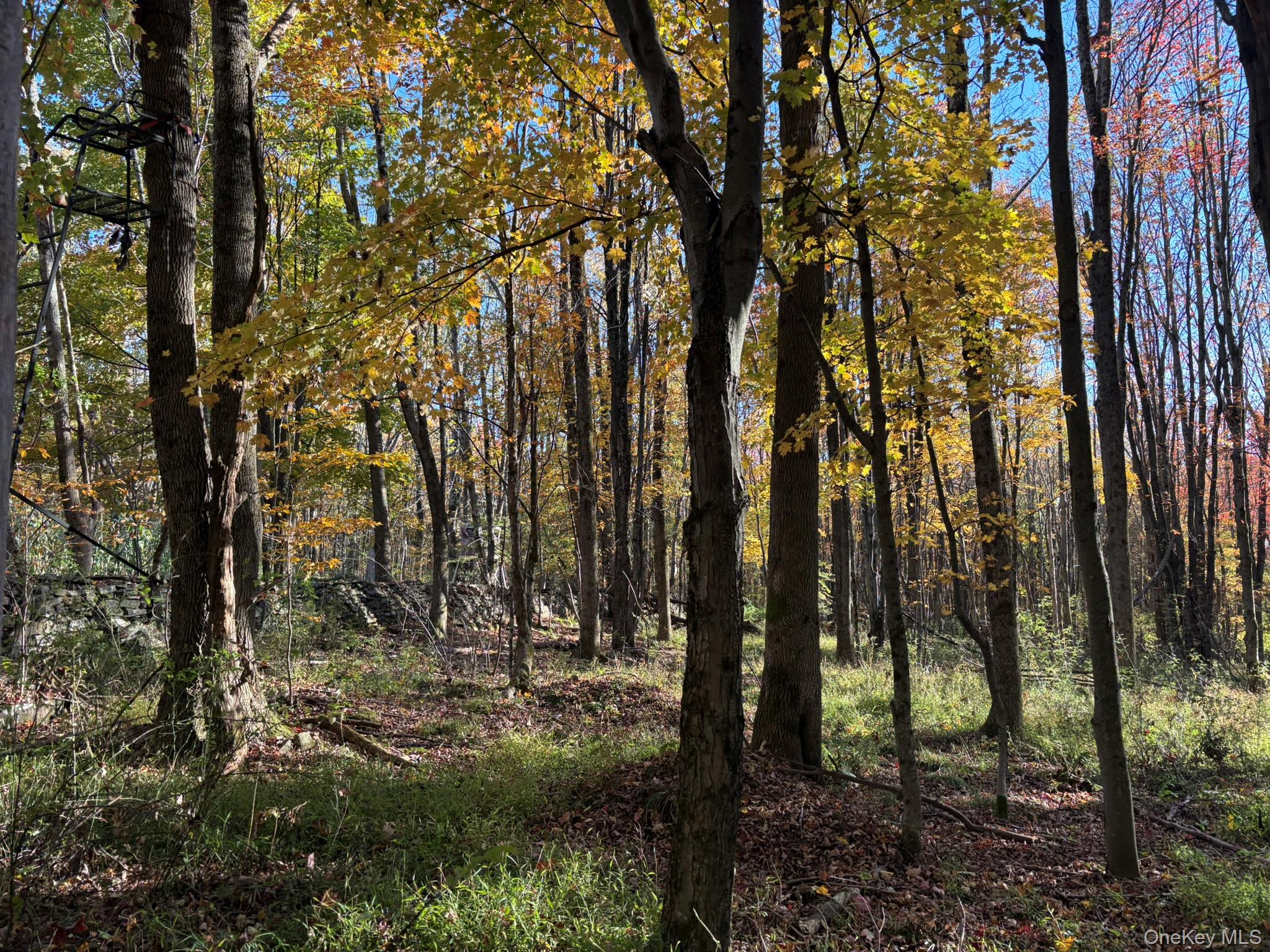 ROW off Chaffee Road