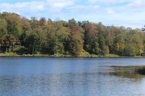 Trout Brook Road Roscoe NY 12736