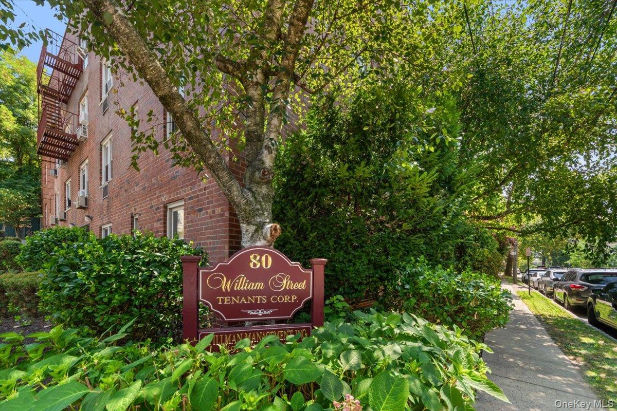 80 William Street 3E