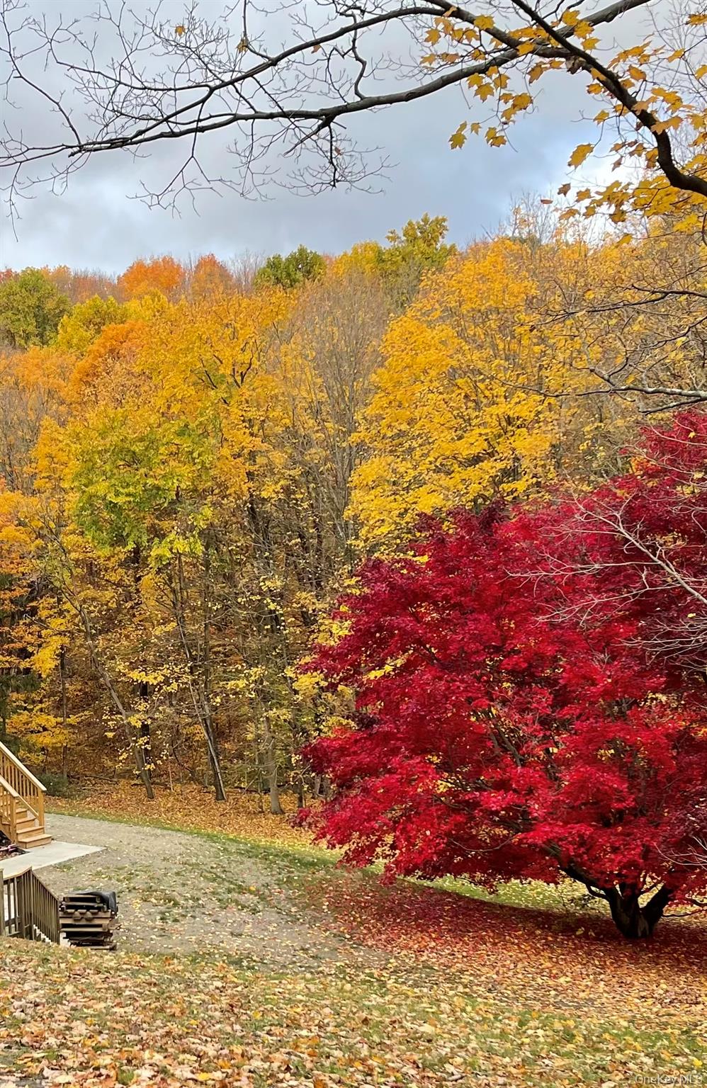 198 Pleasant Ridge Road