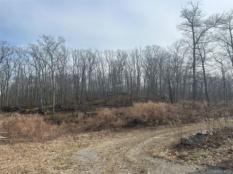 Vacant Land For Sale - 545 Grape Hollow Road<br/> Holmes, NY 12531