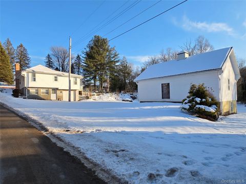 50 Low Road Neversink NY 12765