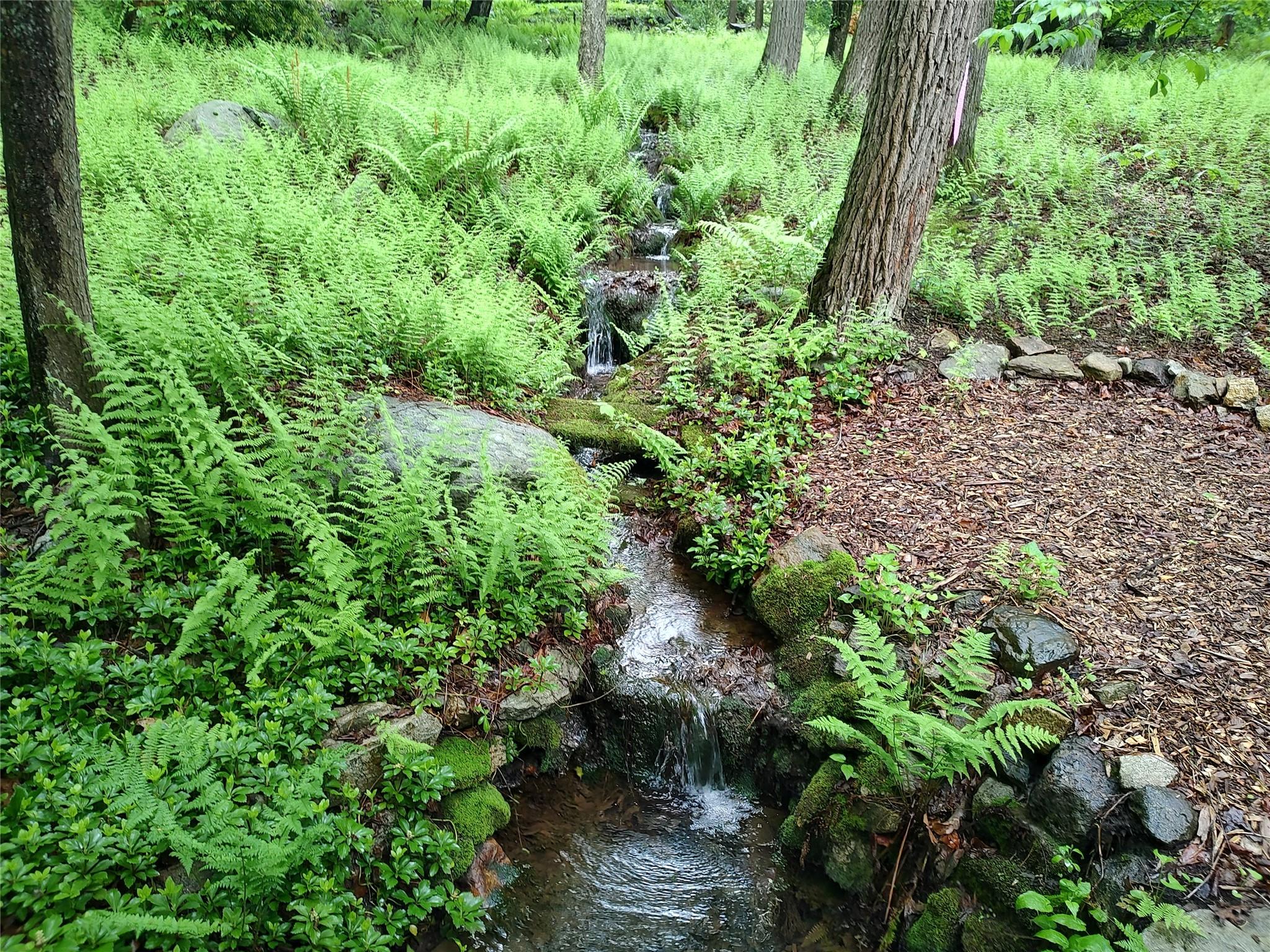10 S Mountain Pond, Garrison, New York image 36
