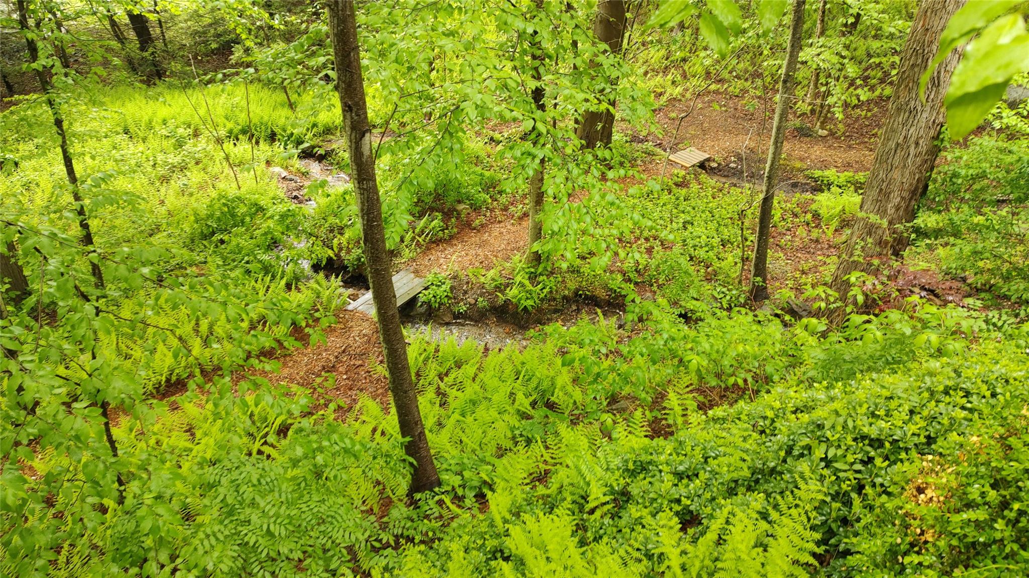 10 S Mountain Pond, Garrison, New York image 35