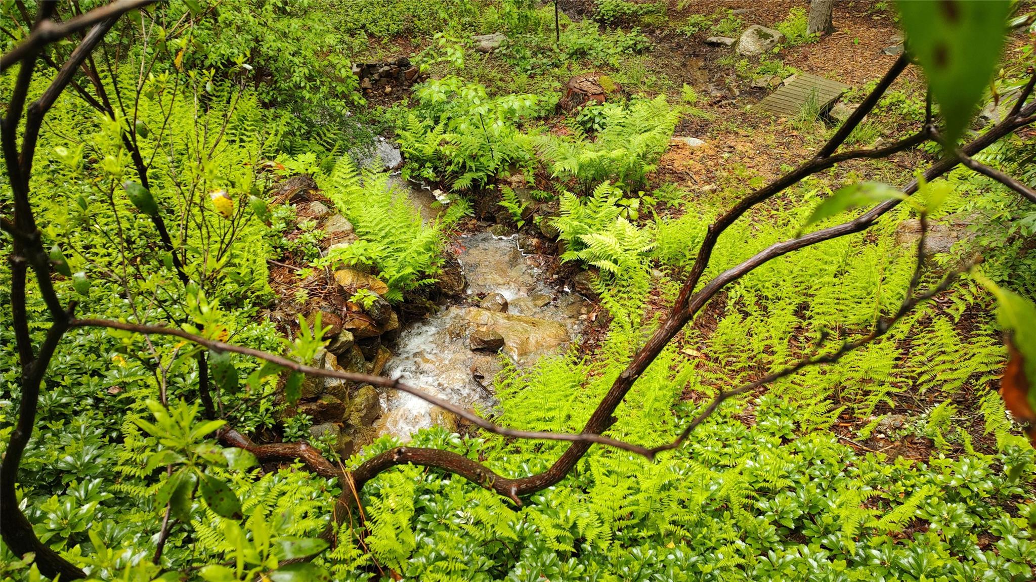 10 S Mountain Pond, Garrison, New York image 34
