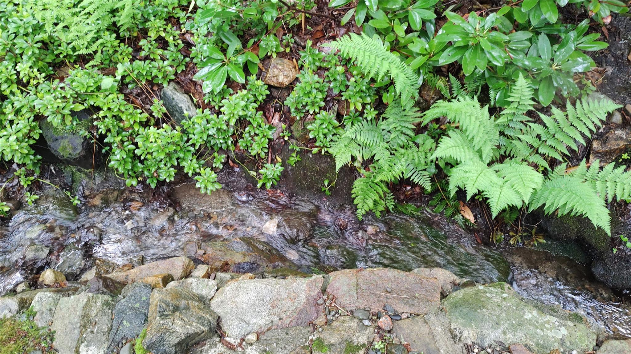 10 S Mountain Pond, Garrison, New York image 37
