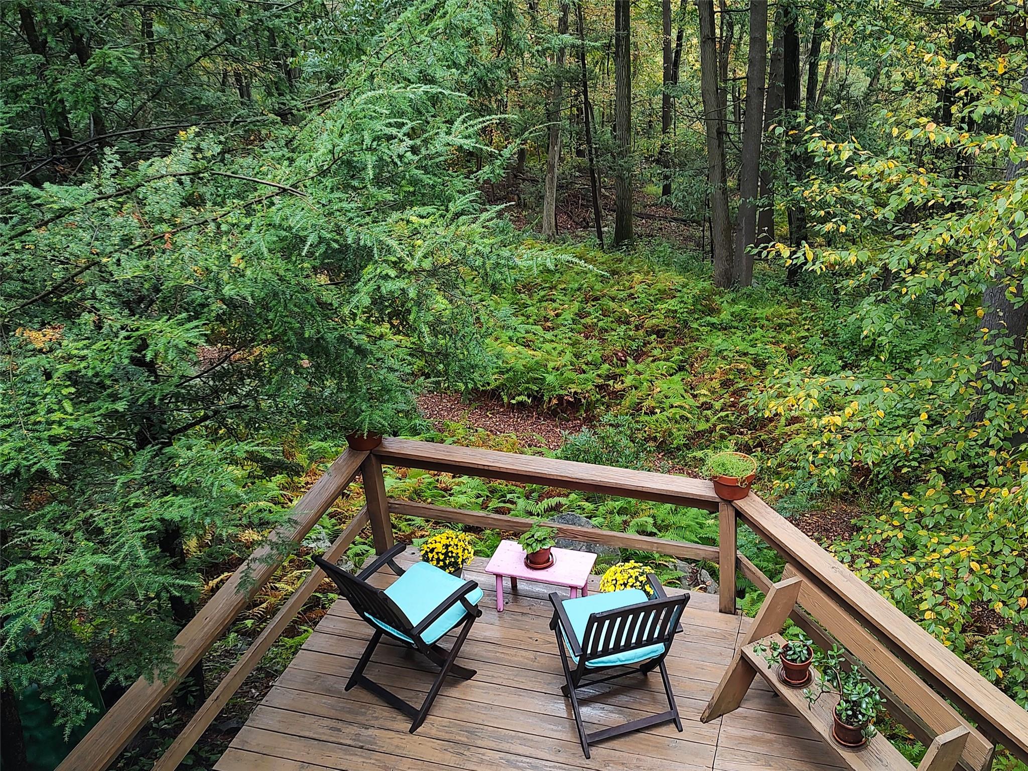 10 S Mountain Pond, Garrison, New York image 22