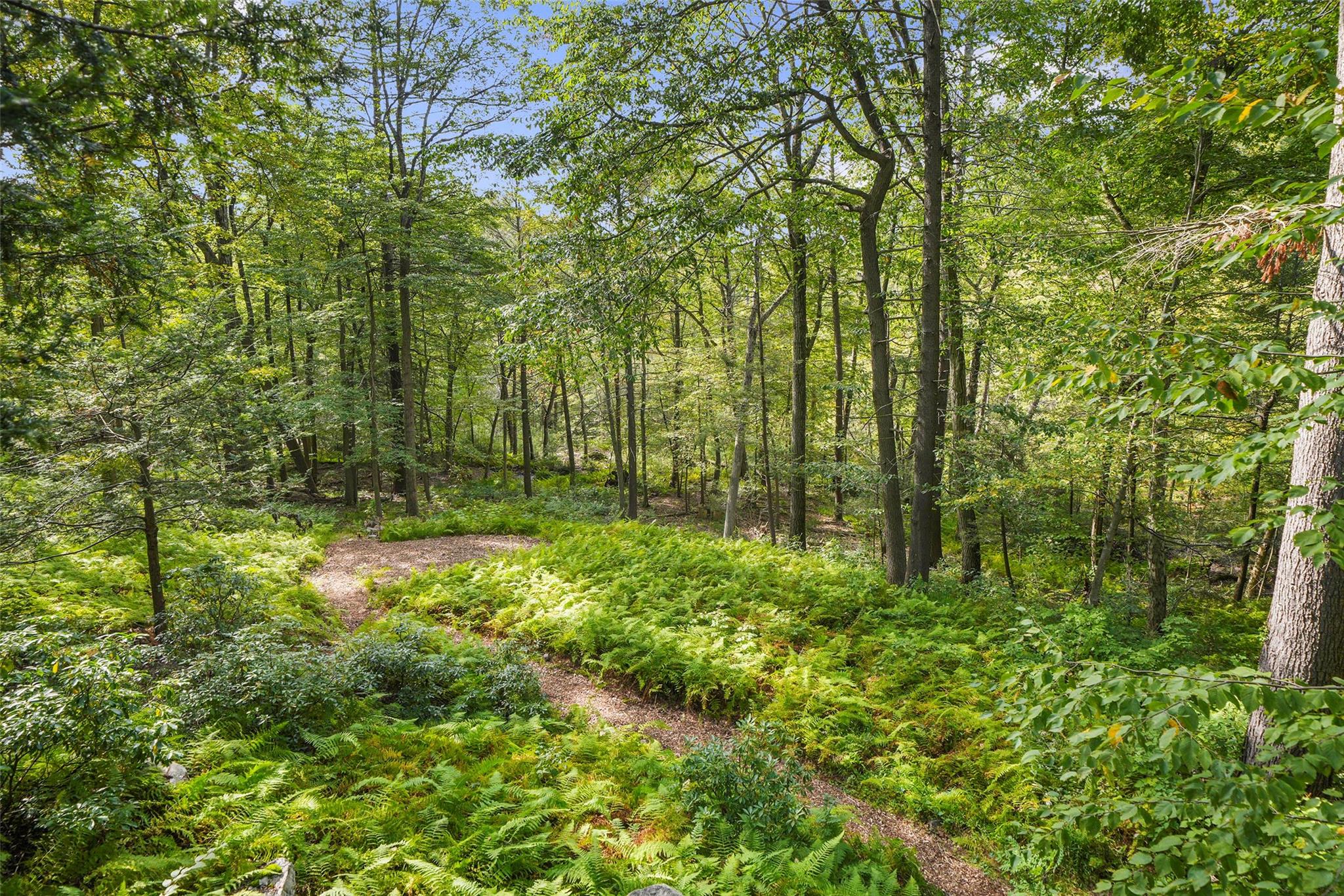 10 S Mountain Pond, Garrison, New York image 24