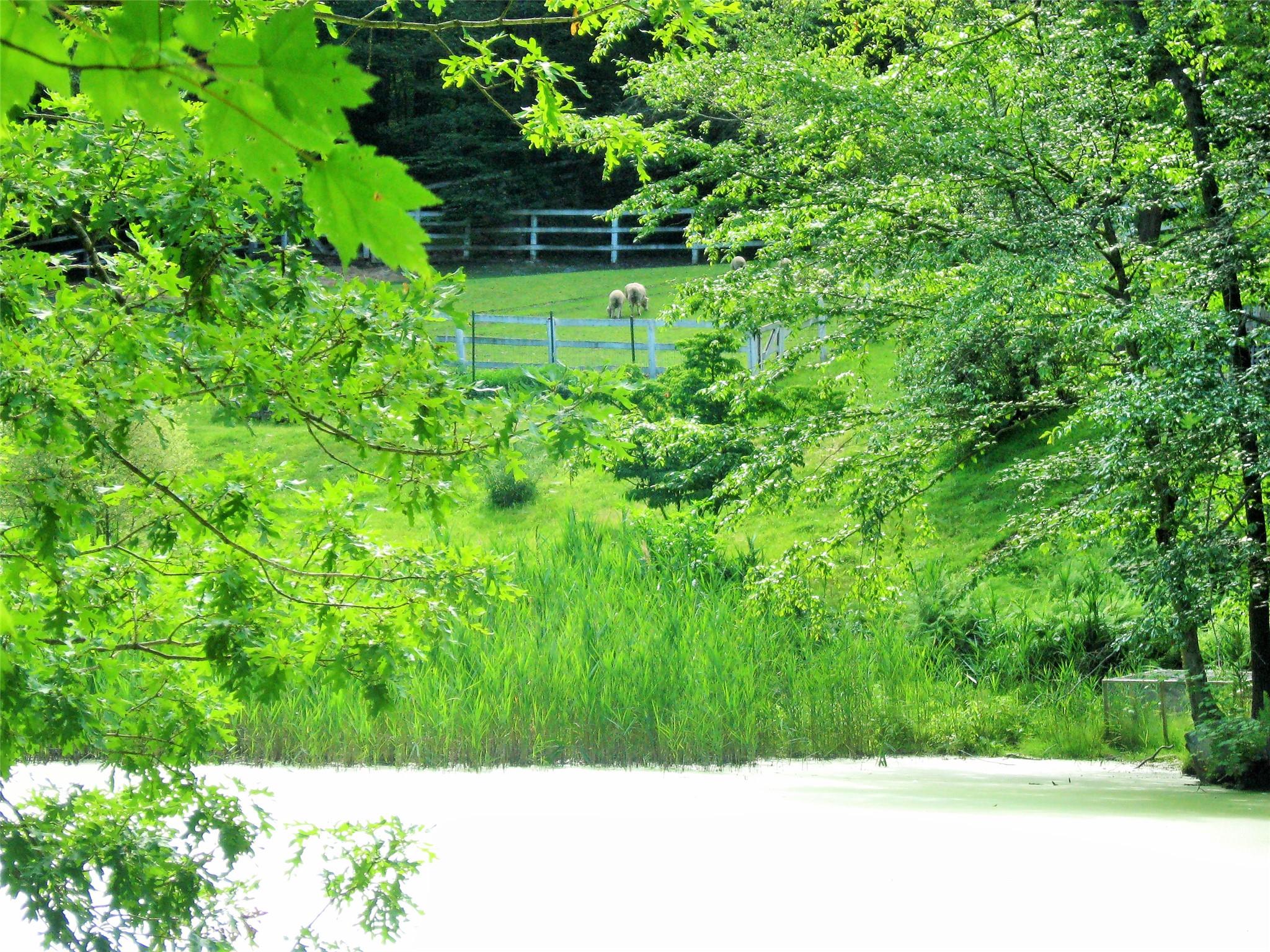 10 S Mountain Pond, Garrison, New York image 39