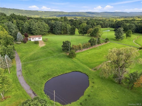 Homes For Sale - 243 Howells Turnpike<br/> Middletown, NY 10940