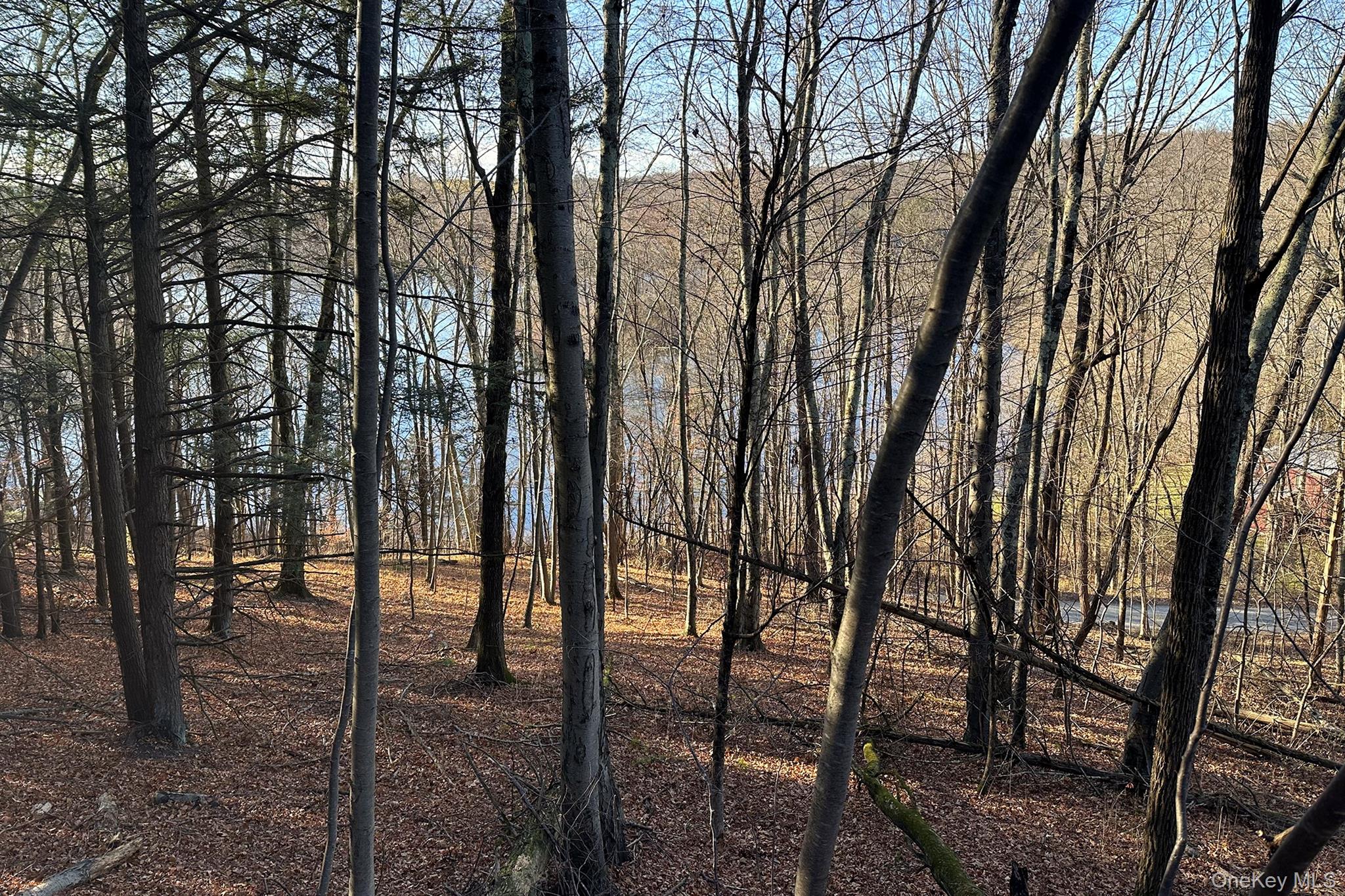 Clinton Corners, New York 12514, United States, ,Land,Active,220337