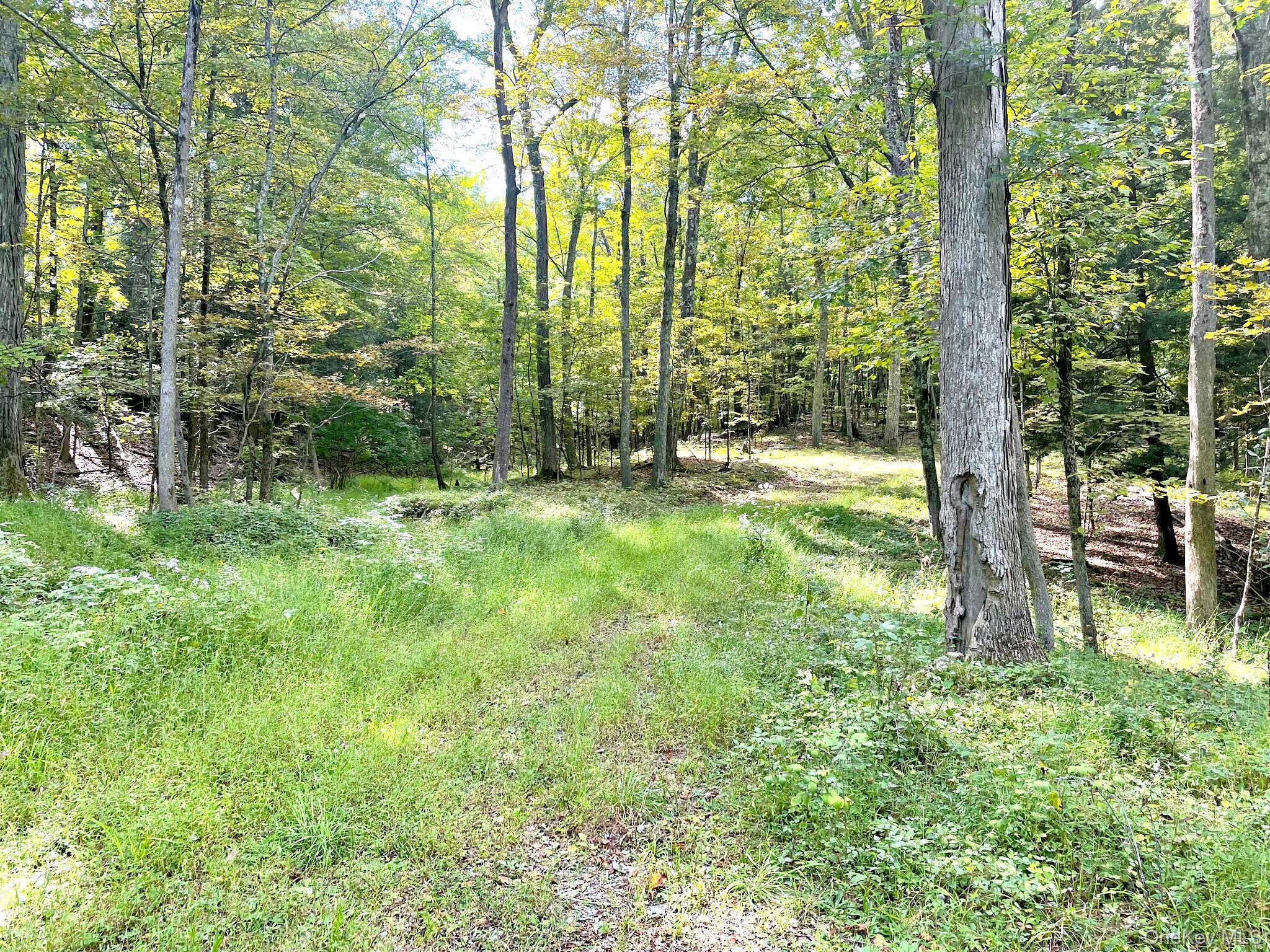 Clinton Corners, New York 12514, United States, ,Land,Active,220337