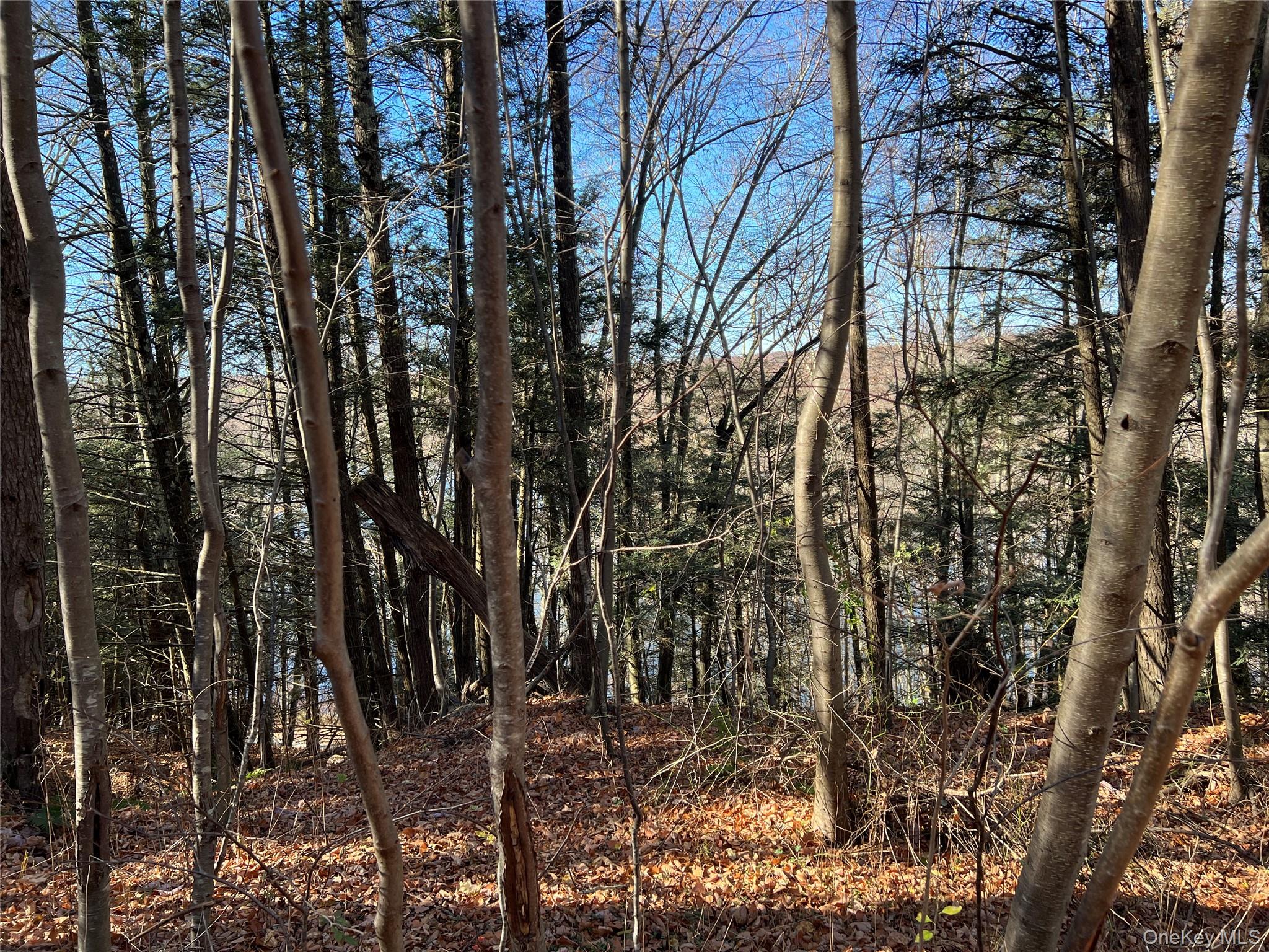 Clinton Corners, New York 12514, United States, ,Land,Active,220337