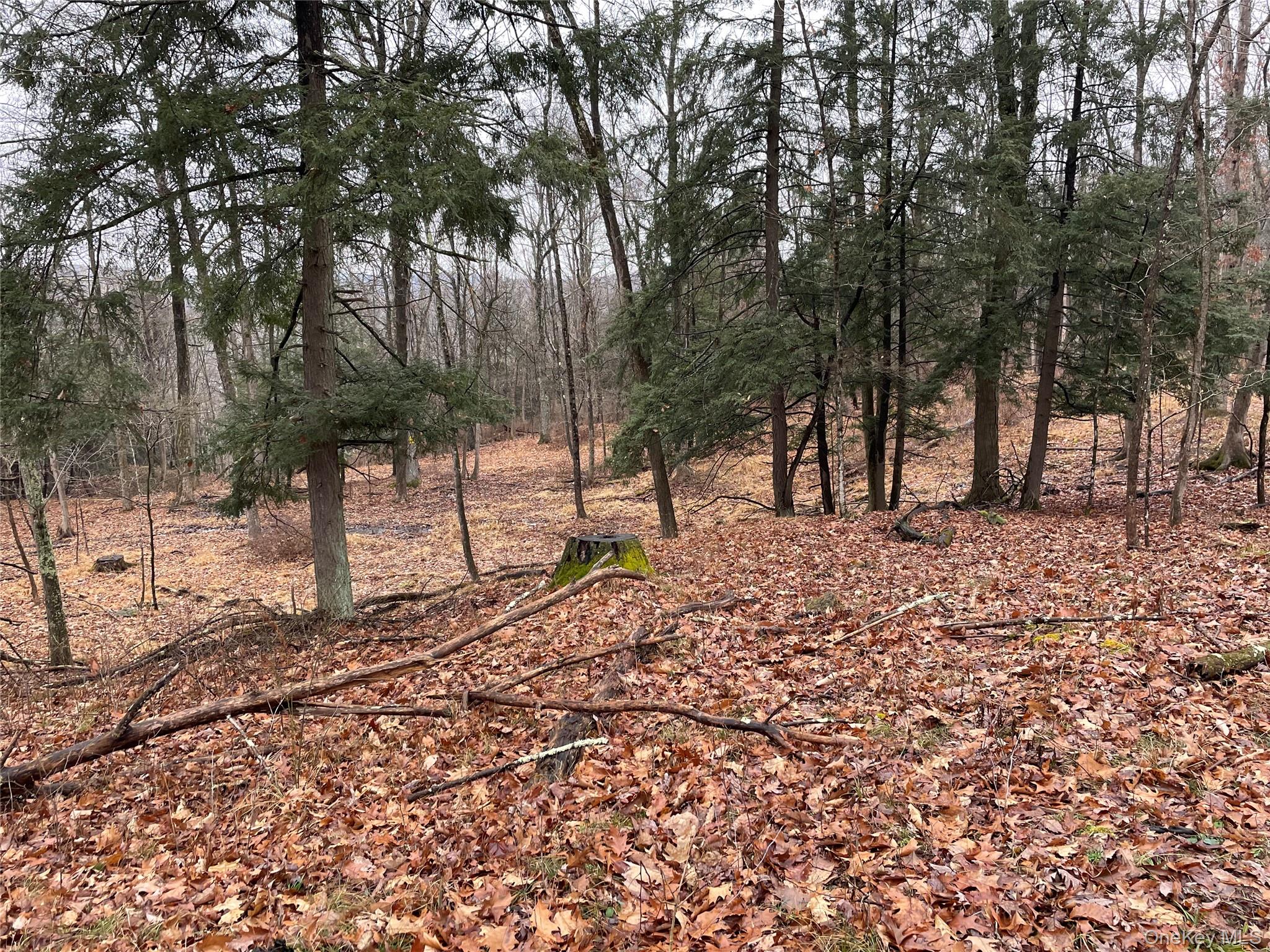 Clinton Corners, New York 12514, United States, ,Land,Active,220337