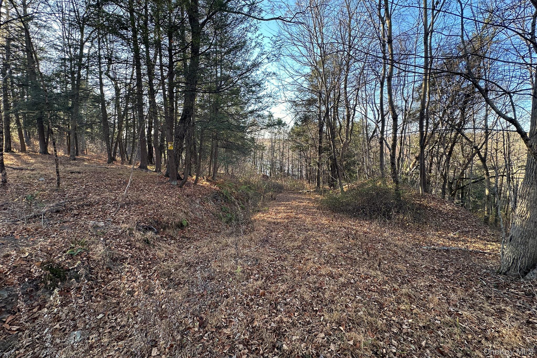 Clinton Corners, New York 12514, United States, ,Land,Active,220337