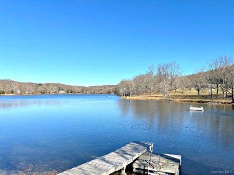 Vacant Land For Sale - 65 Patricia Lane<br/> Dutchess County, Clinton Corners, NY 12514