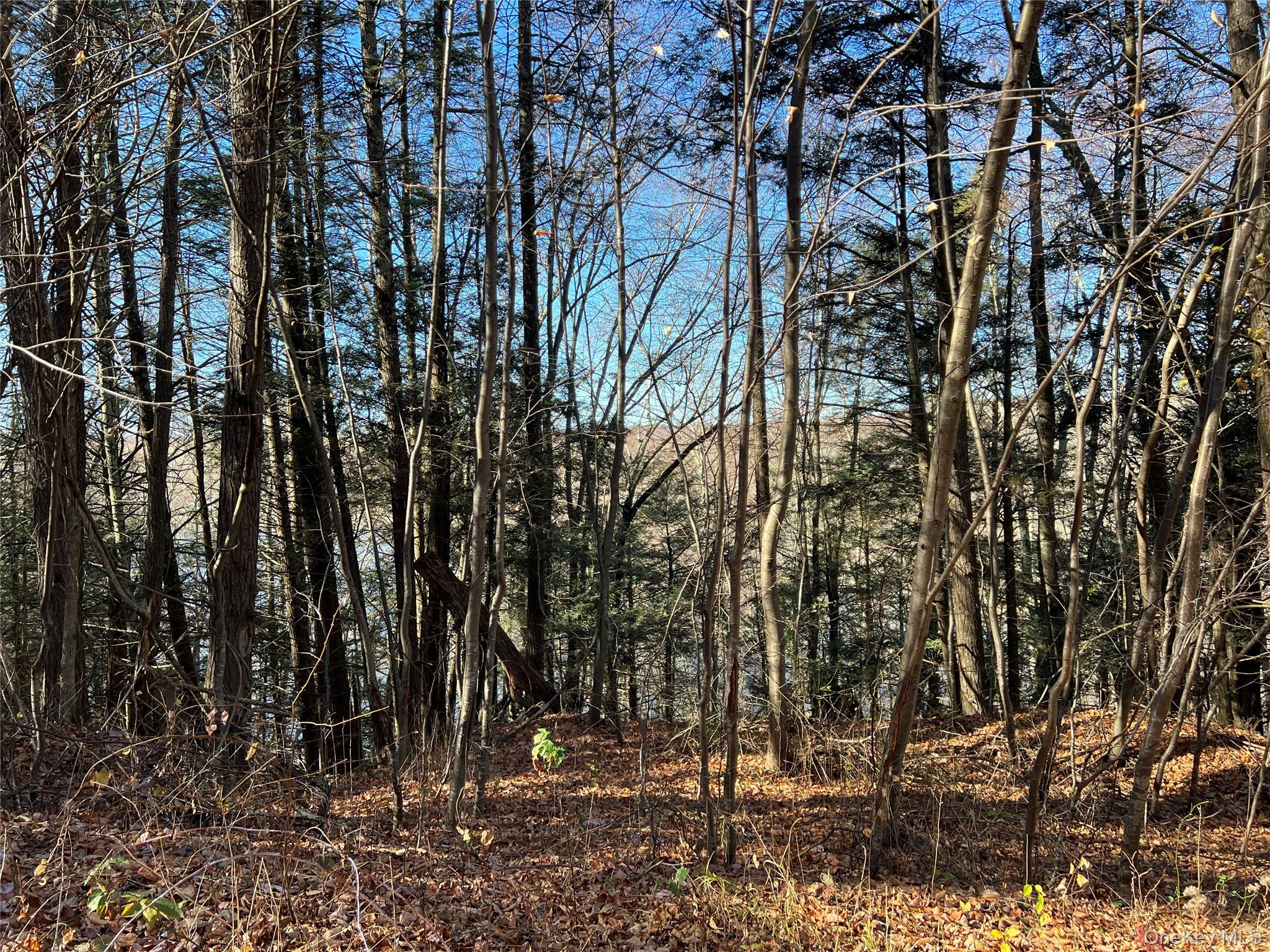 Clinton Corners, New York 12514, United States, ,Land,Active,220337