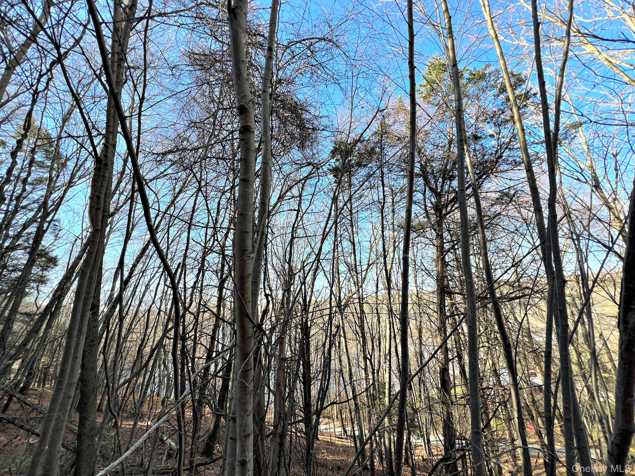 Clinton Corners, New York 12514, United States, ,Land,Active,220337