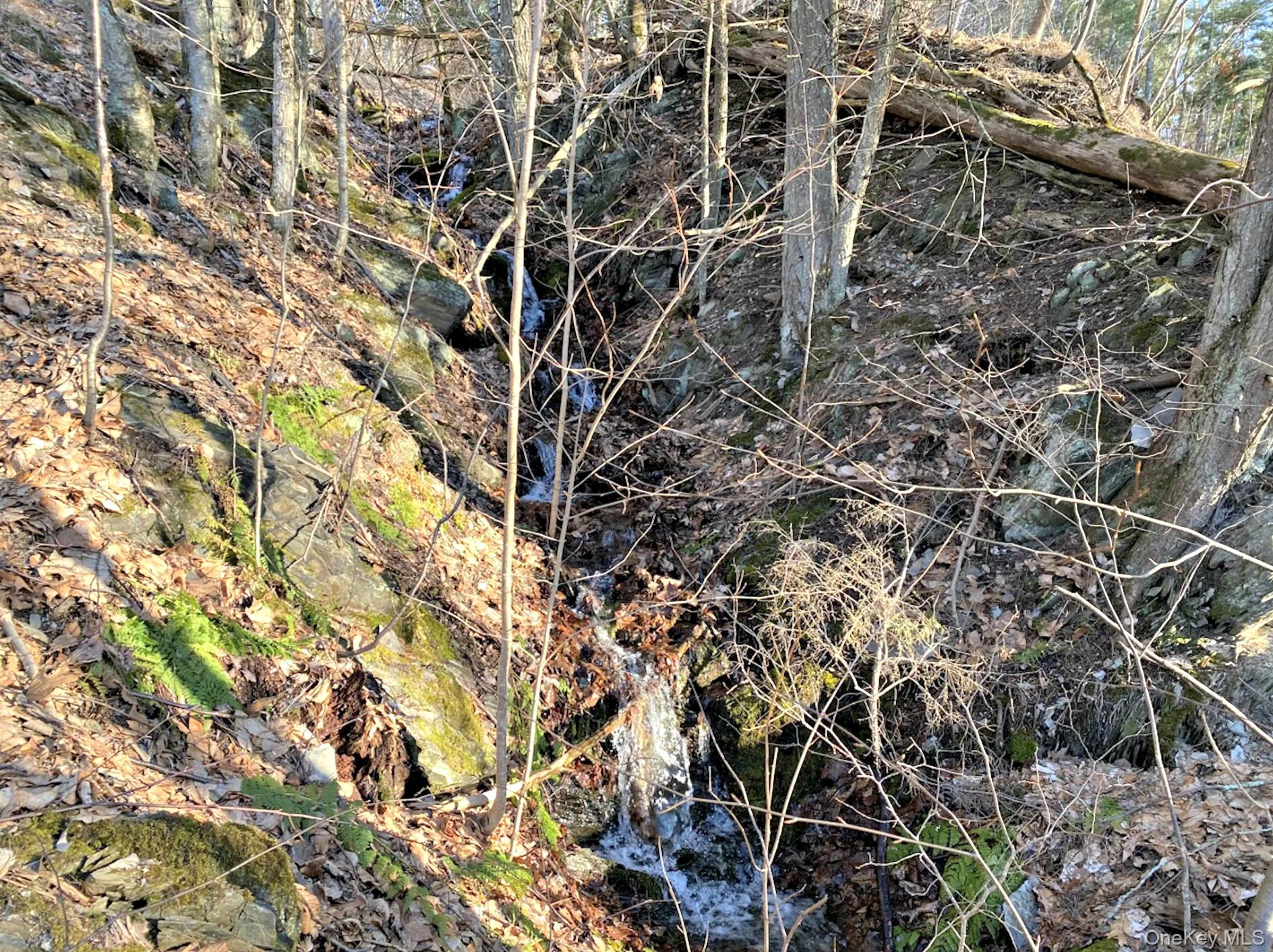 Clinton Corners, New York 12514, United States, ,Land,Active,220337