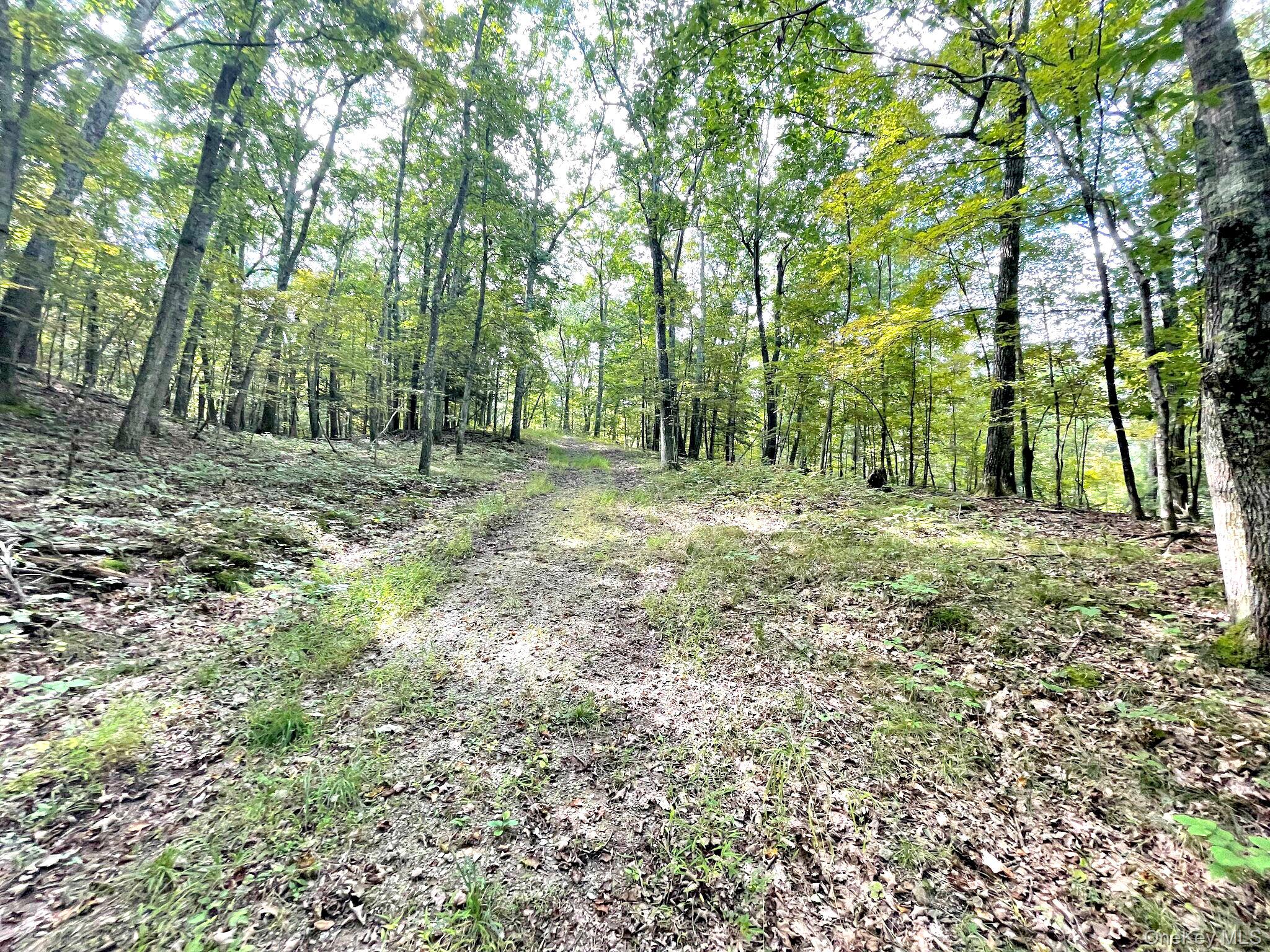 Clinton Corners, New York 12514, United States, ,Land,Active,220337