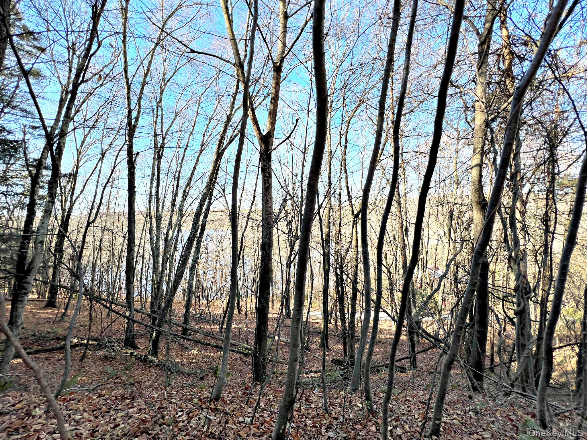 Clinton Corners, New York 12514, United States, ,Land,Active,220337