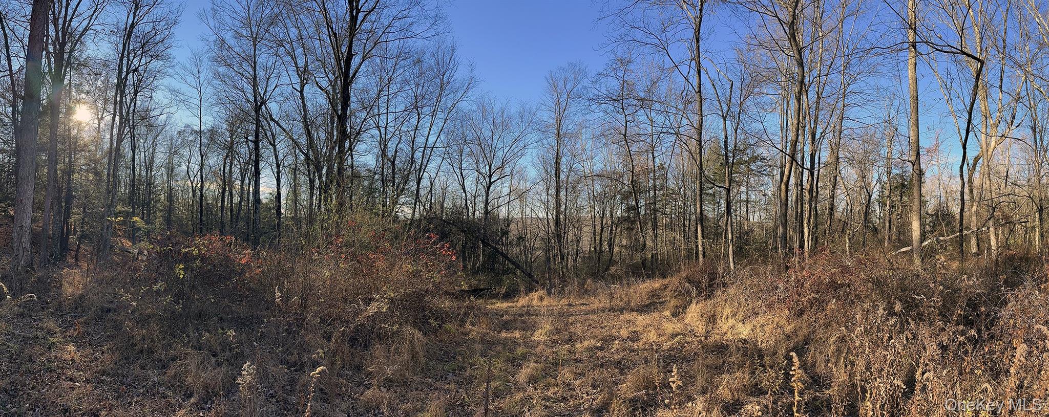 Clinton Corners, New York 12514, United States, ,Land,Active,220337