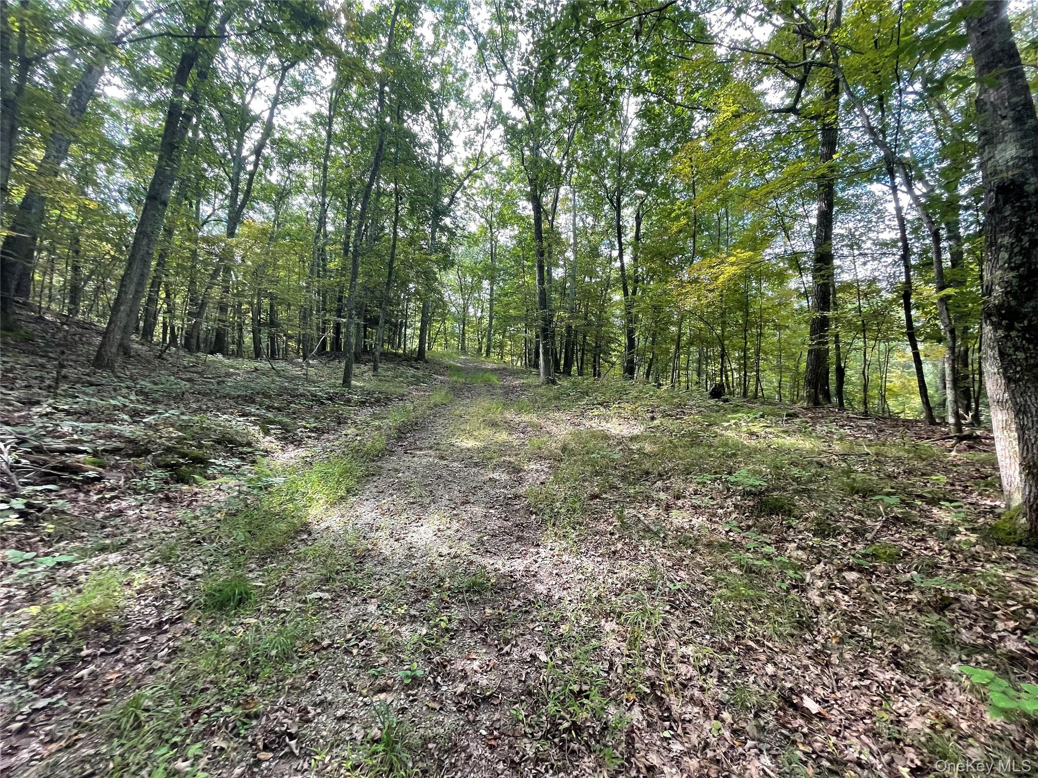 Clinton Corners, New York 12514, United States, ,Land,Active,220337