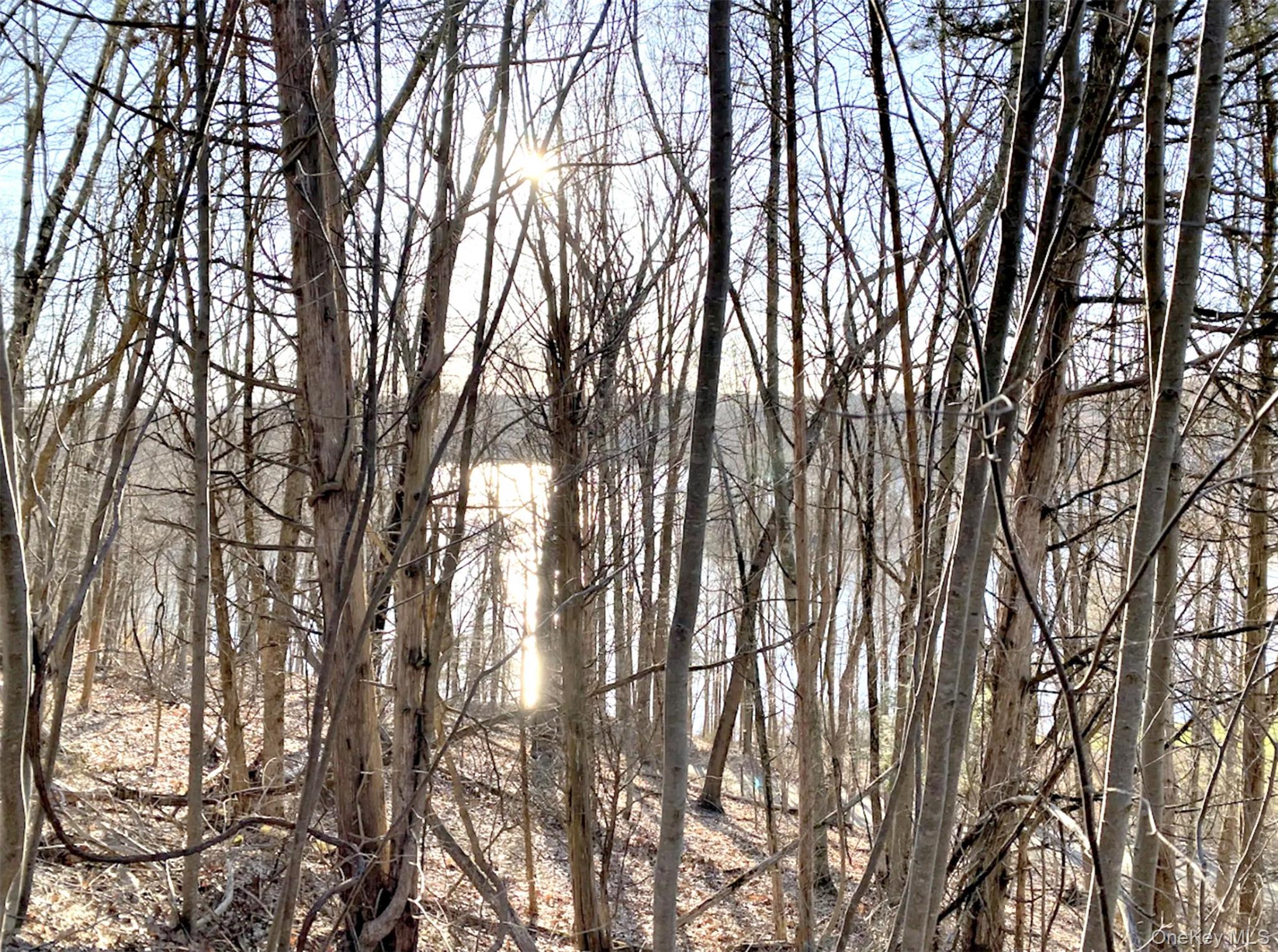 Clinton Corners, New York 12514, United States, ,Land,Active,220337