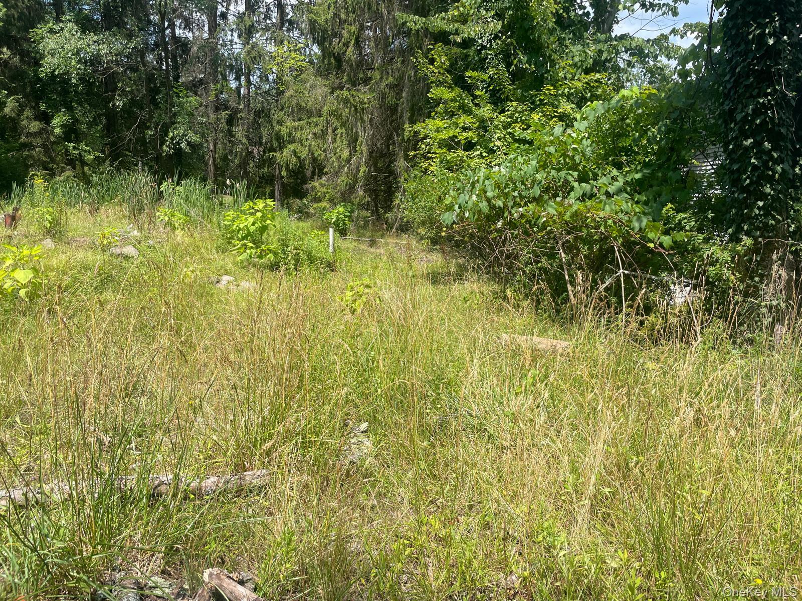 33 Dudley Street Harveys Lake, Pennsylvania Street